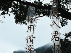 -大连老虎滩海洋公园