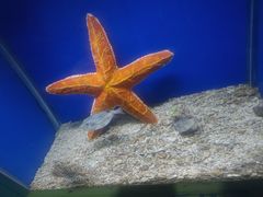 -海合安青岛极地海洋公园