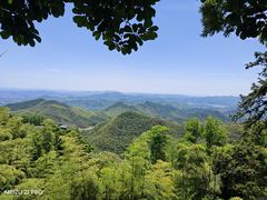 -莫干山风景区