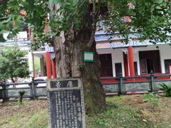 -章华寺