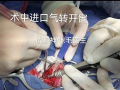 -谐和益家动物医院·免疫绝育·血液透析·宠保定点医院(高新伊藤分院)