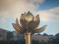 -金莲花广场