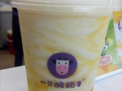 -一只酸奶牛(百联南岸上海城店)