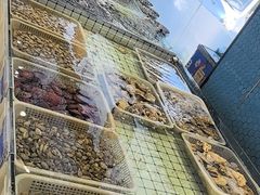 -大锅强·蒸海鲜青岛菜(金沙滩店)