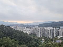 -福道