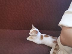 -螺大蛳柳州螺蛳粉·火锅·热干面(西城永捷店)