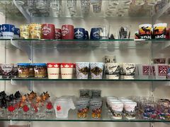 -魁北克圣母圣殿主教座堂