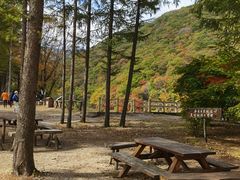 -龙道沟景区