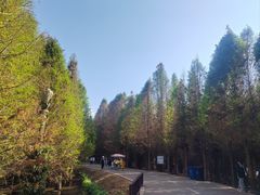 -捞渔河湿地公园