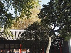 -南京中国近代史遗址博物馆(南京总统府)