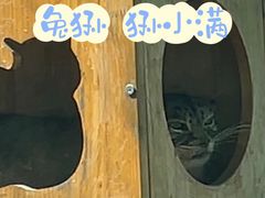 -青藏高原野生动物园