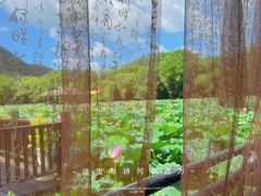 -兰亭风景区