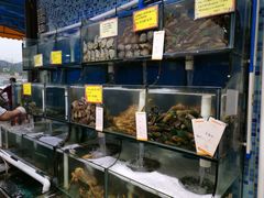 水产区-蚝专家(北滘店)