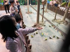 -顺德南宏海立方海洋公园