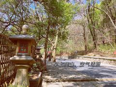 -灵岩山风景区
