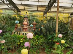 -南宫五洲植物乐园