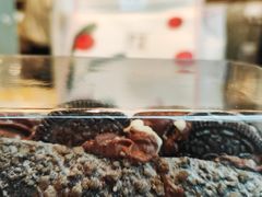 -奈雪的茶(百盛店)