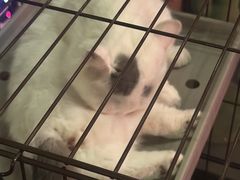 -动动咖啡清真西餐厅