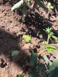 -形象革命造型·护肤Hair Studio