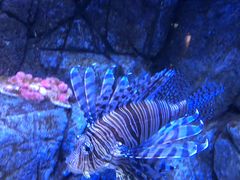 -成都浩海立方海洋公园