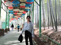 -陶祖圣境风景区