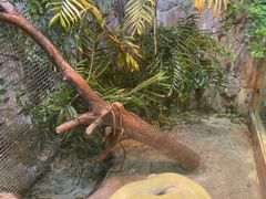 -上海大自然野生昆虫馆(东方明珠·爬宠昆虫探索中心)