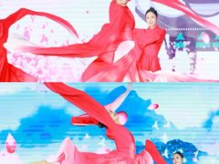 -广州白天鹅宾馆