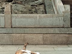 -宝通禅寺