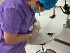 -北京观赏动物医院·24小时大型综合·猫专科·异宠专科