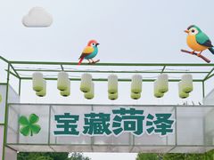 -曹州牡丹园