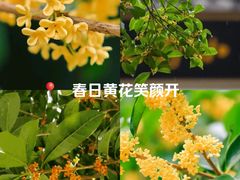 -金轮星光名座生活广场