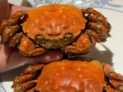 -连鹭海鲜·海肠捞饭·海胆饭(星海店)