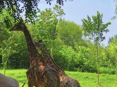 -北京野生动物园