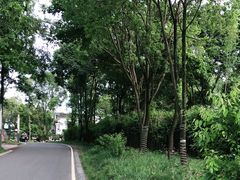 -往来·竹里.宝宝宴.生日宴.团建.宴席(花乡农居店)