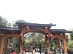 -天台国家森林公园水上茶乡九鹏溪
