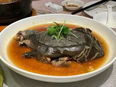 干蒸原味甲鱼-喜和园·雅宴·宴会(西漳公园店)