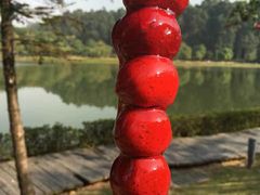 -南国桃园旅游度假区