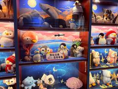 -海合安武汉极地海洋公园
