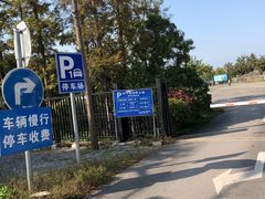 -上海长兴岛郊野公园