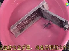 -ROBAM老板电器(上海总部)