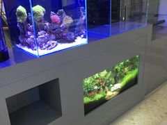 -红星美凯龙(北京北四环店)