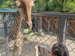 -荆州中山公园动物园