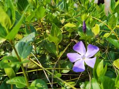 -白塘生态植物园