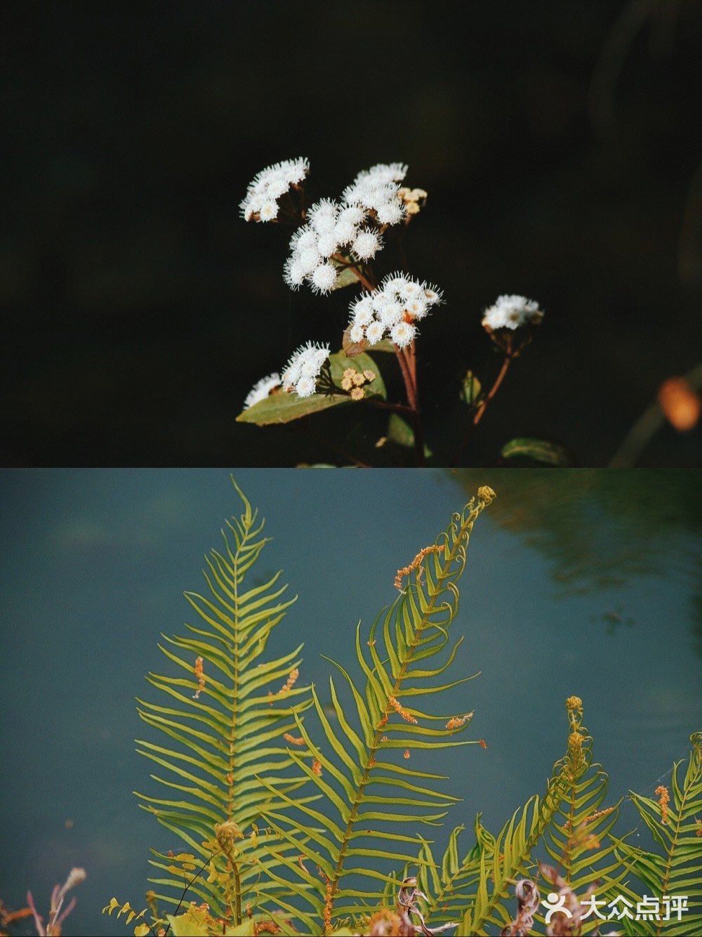 大理丽江周边小众的沙溪古镇