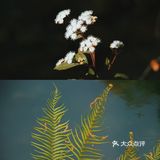 大理丽江周边小众的沙溪古镇