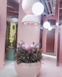-好看加白色房子