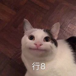 -可可丽舍