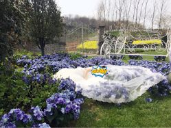 -米兰尊荣婚纱摄影·婚纱照会馆