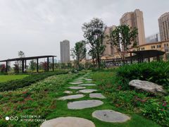 -府河摄影公园
