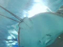 -泉城欧乐堡海洋极地世界